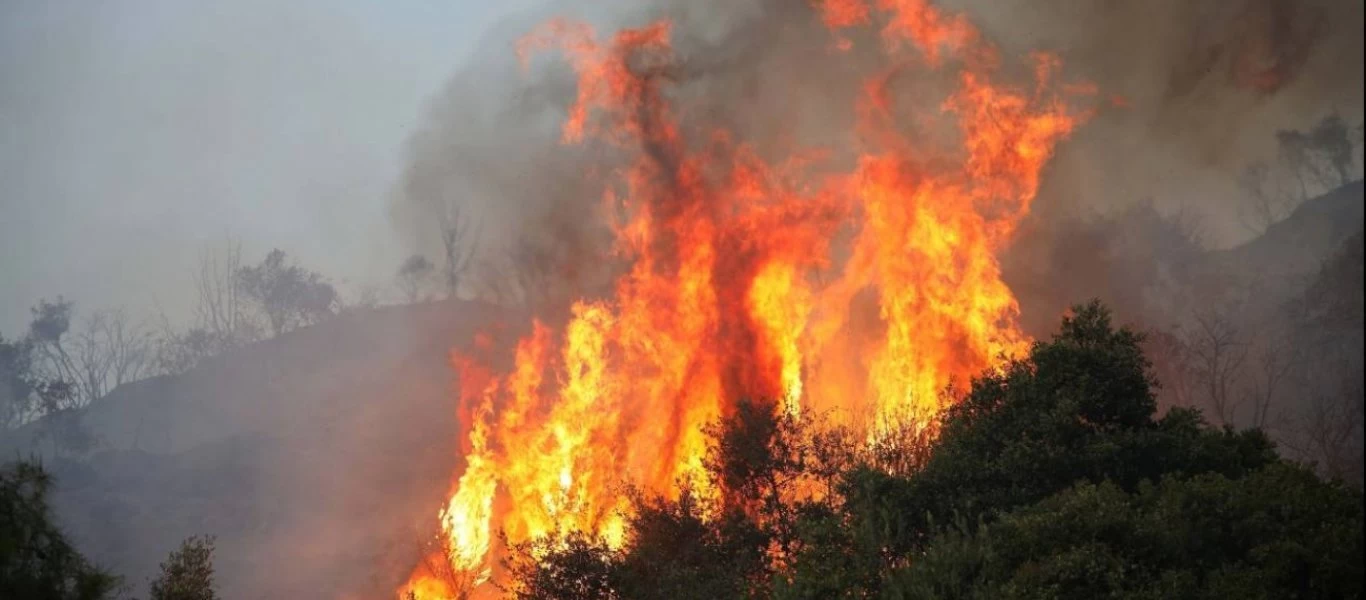 Πυρκαγιά στην Μάνη: Βελτιωμένη η εικόνα από το πύρινο μέτωπο - Σε επιφυλακή η πυροσβεστική (βίντεο)